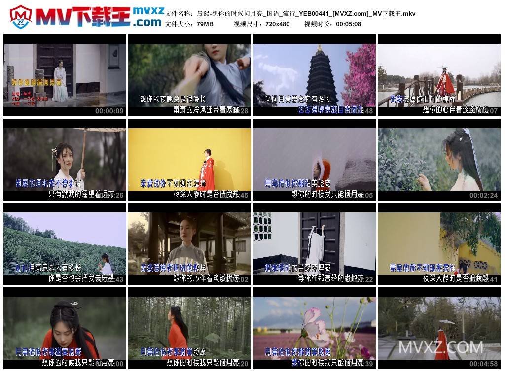 晨熙-想你的时候问月亮_国语_流行_YEB00441